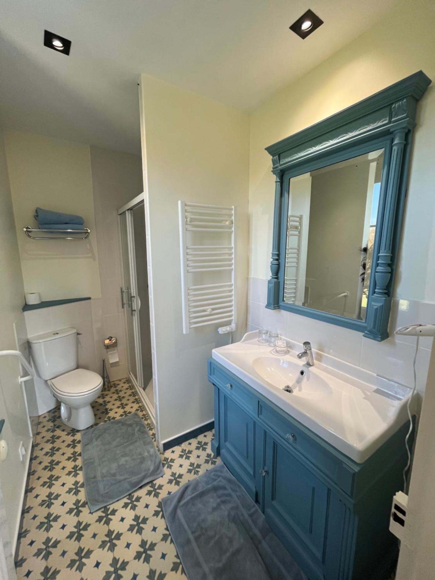 Manoir Du Val Fouzon - Beauval Bed & Breakfast La Vernelle Bagian luar foto